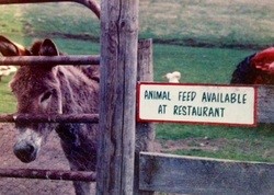 animalfeed